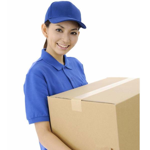 Pharmaceutical Chemical Raw Material CAS 51-43-4 L(-)-Epinephrine