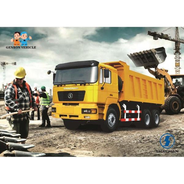 Mina lisa Tipper Trucks For Construction Materials da cabine 20CBM de SHACMAN F3000