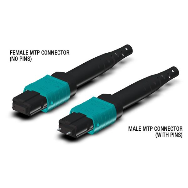 12 cores MTP ( male ) - LC  Fanout 0.9mm 30cm OM3 10G - 100G for MTP-LC cassette & Patch panel
