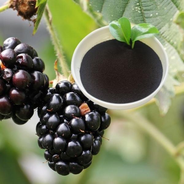 O ácido aminado do adubo Ph7-9 orgânico pulveriza o ferro Chelated solúvel em água O-O 4,8