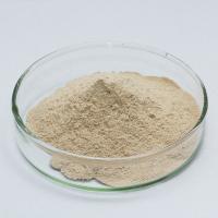 Pharmaceutical Enzymes Of Pancreatic Juice Customized Pancreatin Powder Food Grade