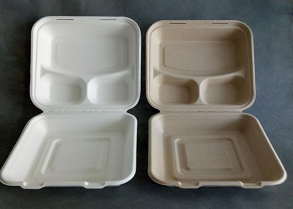 9 inch Outdoors Takeaway Food Containers Disposable Lunch Biodegradable Container