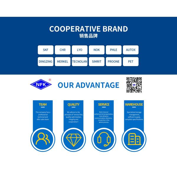 VMQ Hydraulic Pump Seals TCN TCV TCZ Type High Pressure Resistance