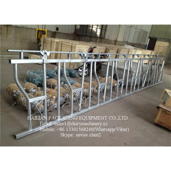 Оборудование фермы замка головки толкотни скотин Горяч-гальванизировало стальную трубу