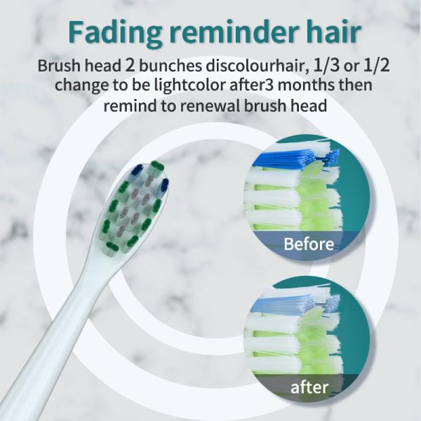 Bake Paint Travel Electric Toothbrush Sonic With Disinfect Air Drying CE FCC Certified