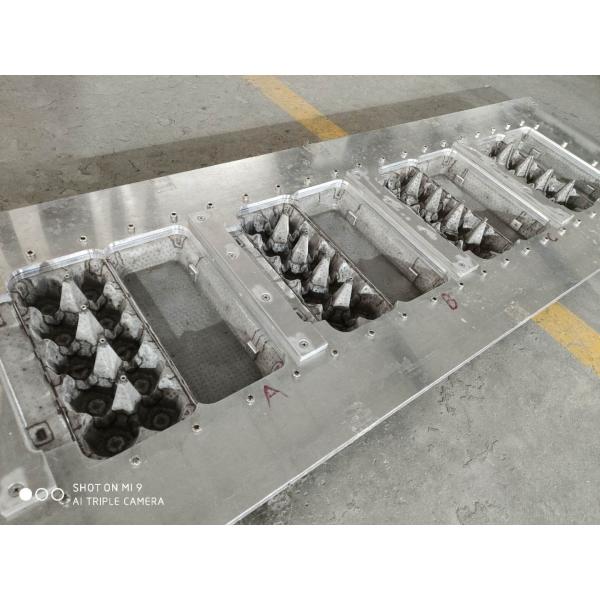 El cartón del huevo de 10 agujeros a presión molde de la pulpa de la fundición para la maquinaria de la celulosa