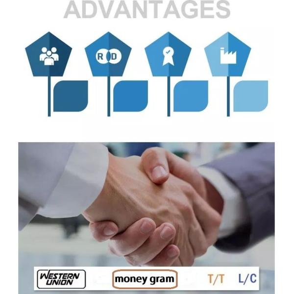 Alta resolução de pouco peso da câmera 1296*1280P da gravação de vídeo com exposição de 2 polegadas