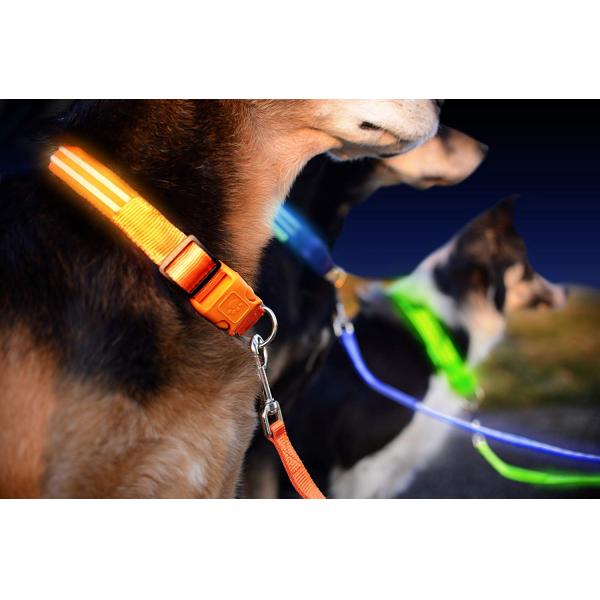 Safe Highly Visable LED Dog Leash Nylon Material