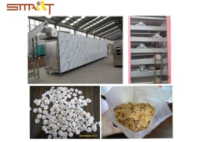 Breakfast Cereal / Corn Flakes Two Screw Extruder , SS Food Grade Extruder