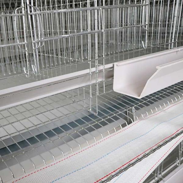 Auto Feeding Egg Laying Chicken Cages , Q235 Steel Wire Layer Bird Cage