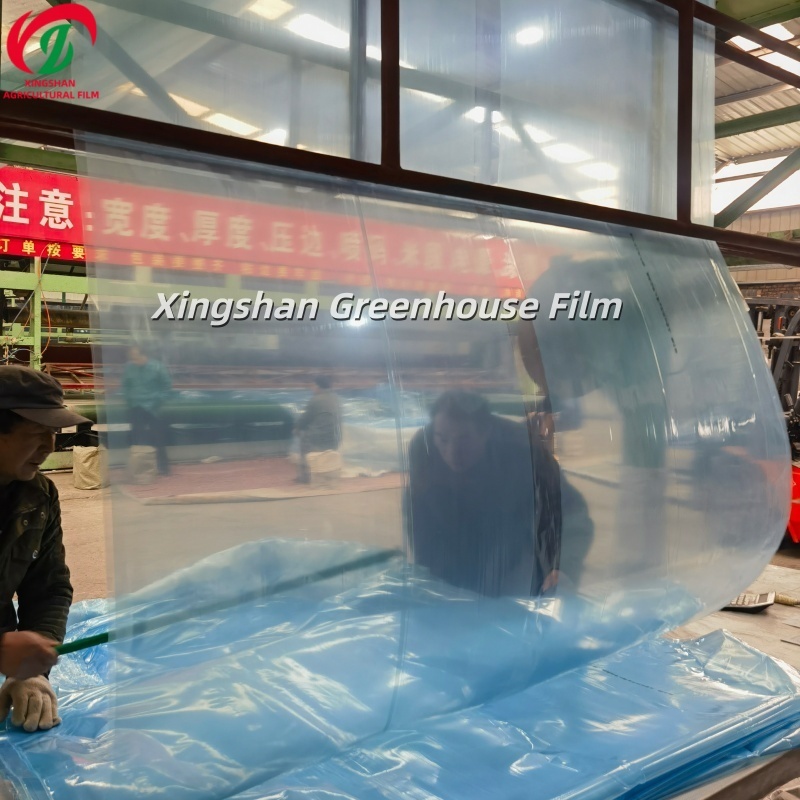 Modern Agriculture PE Greenhouse Film Anti Drip UV Resistant Polyethylene Film