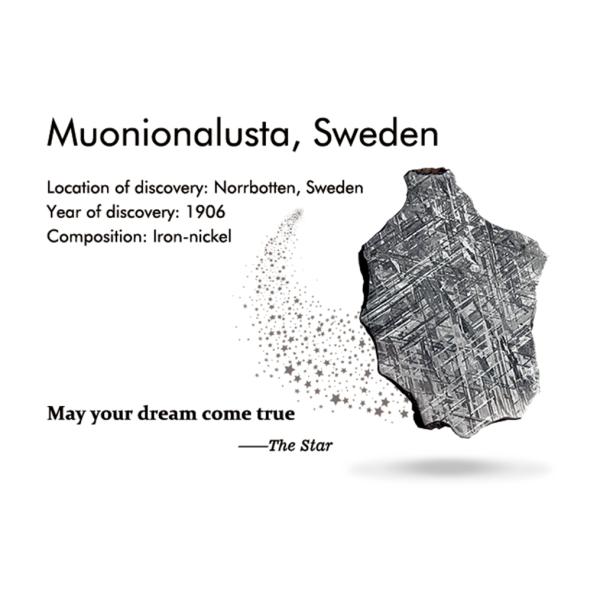 925 Стерлинг Серебро Тай Чи Метеорит 2 в 1 Подвесок 13*20 мм Ювелирные изделия