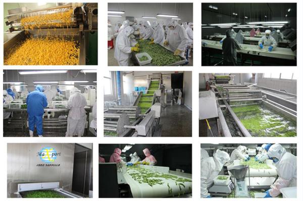China Supplier Soya Beans IQF Frozen Edamame in Shelled
