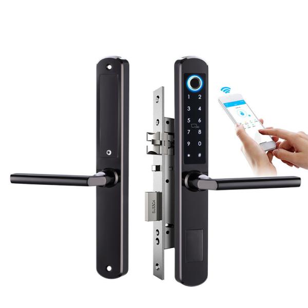 Senha durável e fechadura da porta biométrica da impressão digital com chave escondendo