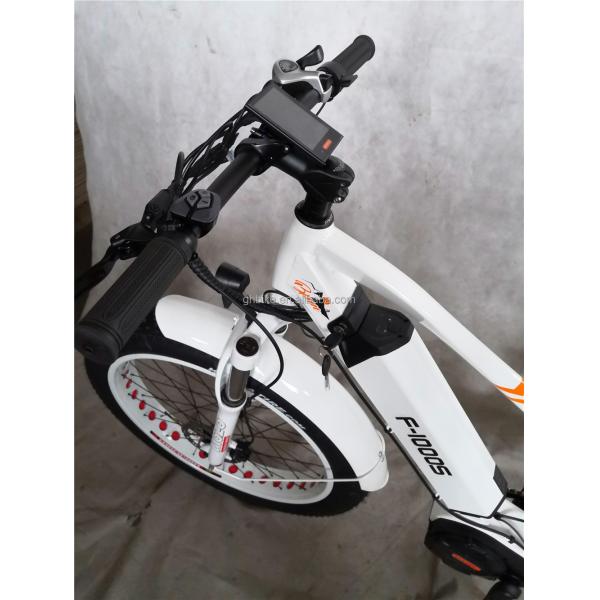 Adult Fat Tyre Cycle E Ebike Electric Bike 48V 1000W 21A Central Mid Drive Motor 26 Inch