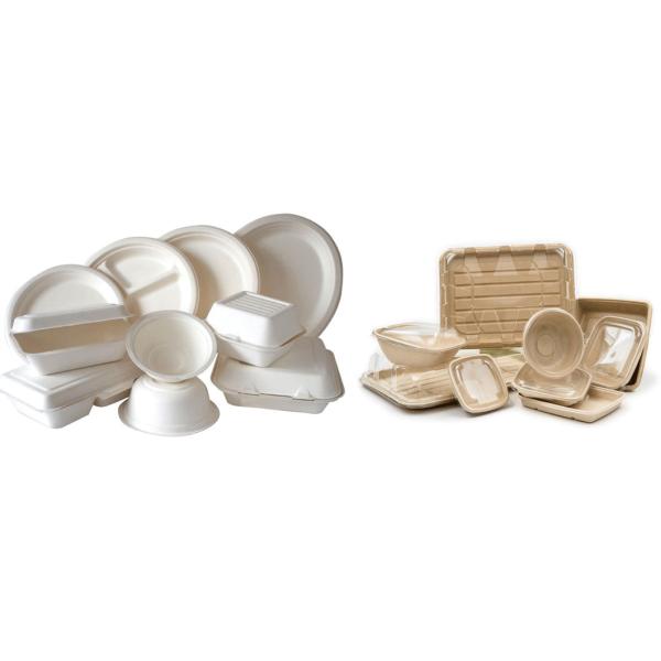 Biodegradable Pulp Molded Food Packaging Equipment