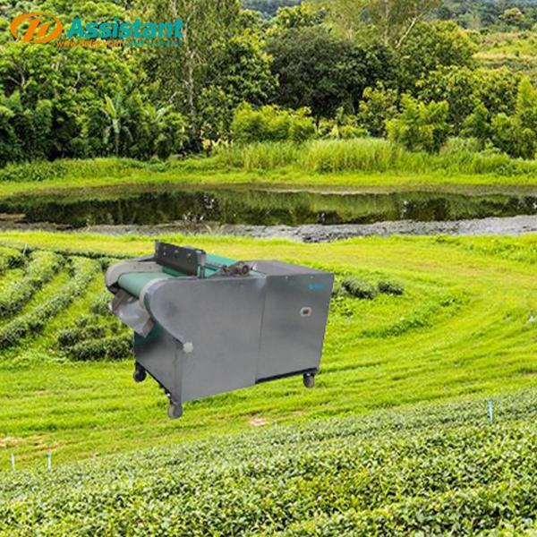 Tea Vegetable Sectioning Machine DL-6GCQ-30-2 for Multifunctional Potato Shredder 220V