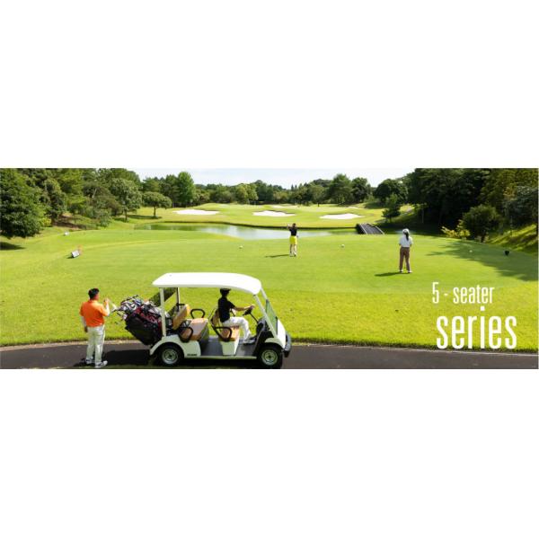 3000 R/Min Rated Speed Electric Golf Carts with CE Certification and Multi Functional