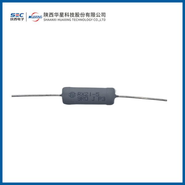 RX21 Varnished Wirewound Resistor
