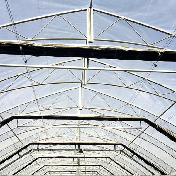 Полностью автоматическая теплица для выращивания медицинских растений со светоди