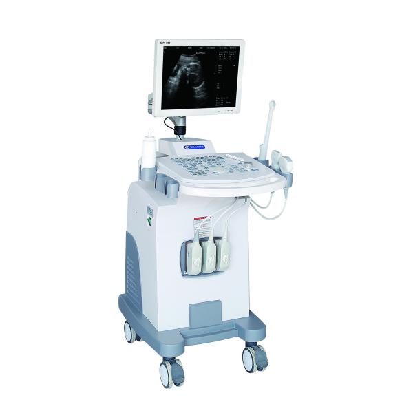 B/W Trolley Ultrasound Machine Diagnostic System For General Abdomen Scanning