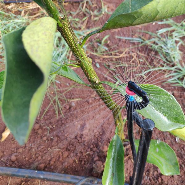360 Agriculture Irrigation G Type Insert for Ground Upside Down Refraction Micro Sprinkler