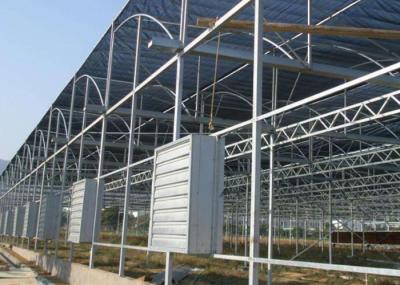 Hot Dip Galvanized Steel Greenhouse Venlo Type For Farming Planting