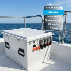 Water-proof Marine Lithium Battery 48v 51.2v 400ah Electric Boat Motor with Battery