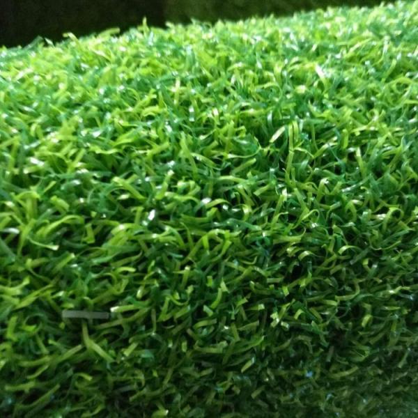 Landscape Artificial Plastic Grass / Artificial Grass Roll Commercial Decoration