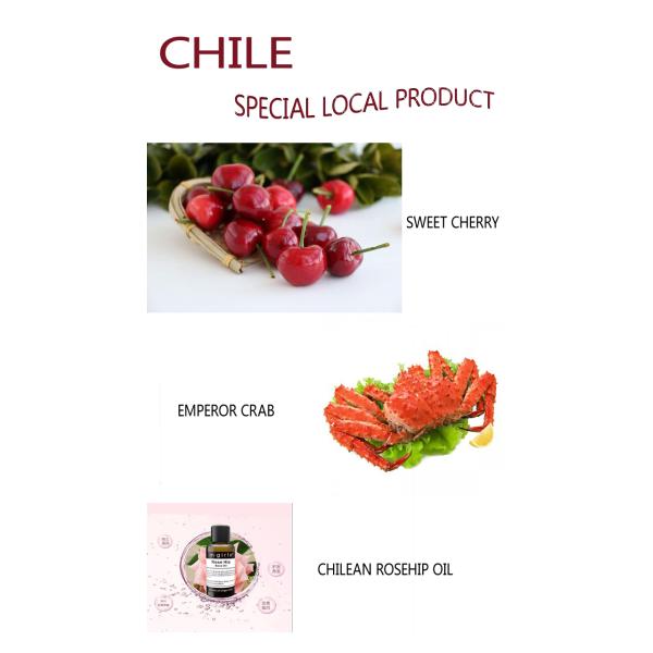 Import Purchasing And Logistics , Global Logistics Services South America