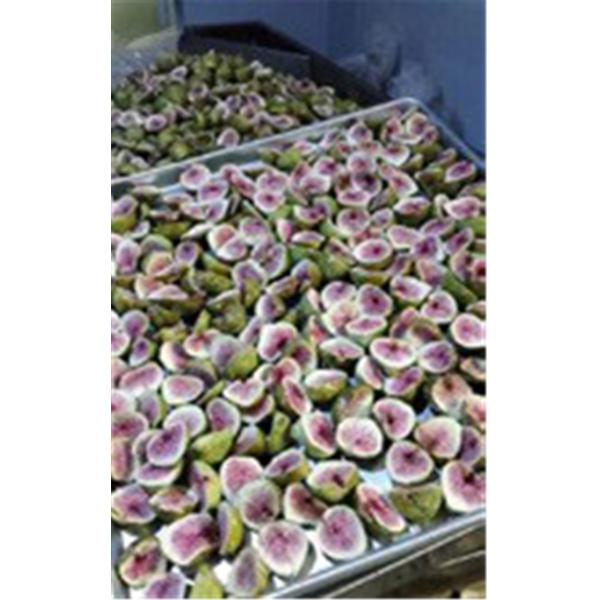 Машина для просушки замораживания вакуума овощей плодов 10m2