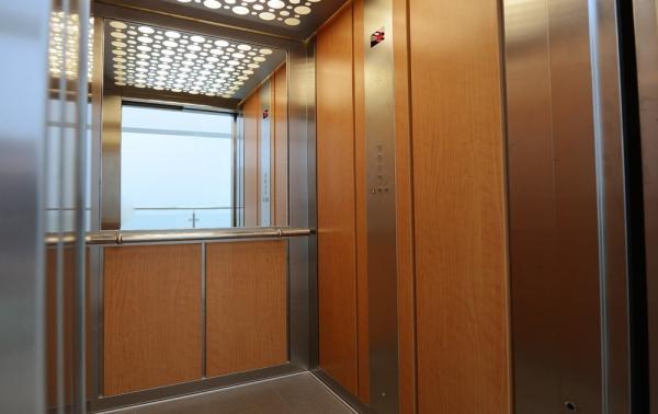 Cherry Oak Aluminum Composite Plastic almofada a madeira da noz de 6mm para a parede interior