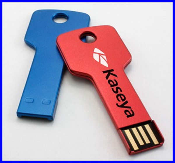 Metal Key Usb Pen Drive 2GB 4GB 8GB 16GB 32GB Free Logo Printing