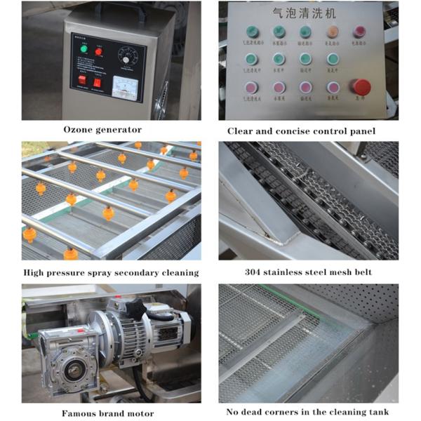 Fish Shrimp Oysters Carrots Vegetables Washing Machine 500kg/H