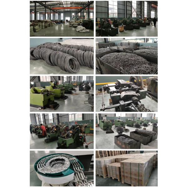 Metal Washer 9.5mm 3/4'' Trunking Nails 19mm for TT Market Head Diameter 3.7mm