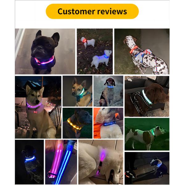 Collar para perros LED Inodoro Perros medianos y grandes Portador de AirTag Flash Light Up Diseño de logotipo personalizado