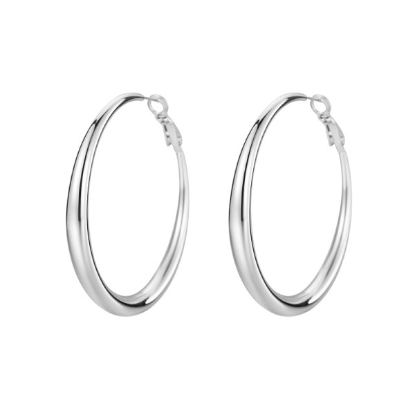 Fashion European and American Style Stainless Steel Hoop Earrings 18K PVD Plated Large Hoop Earrings for Women's Birthday Party