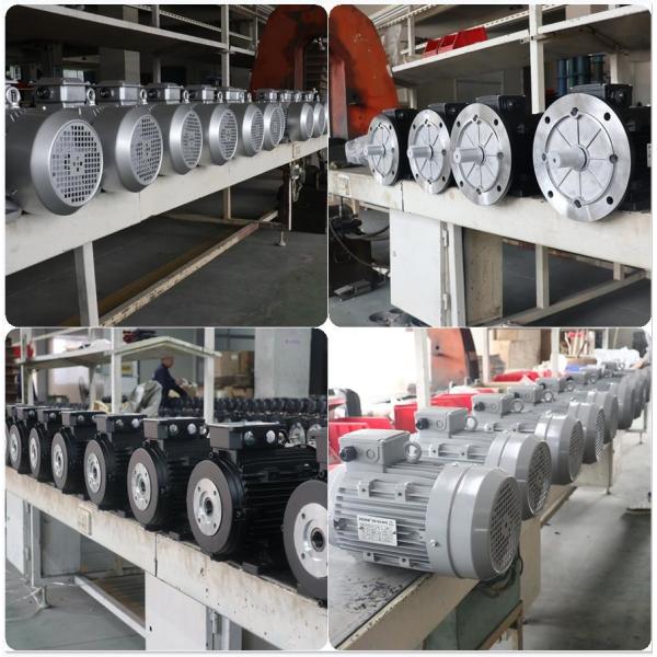 Электрический двигатель 3kw 4hp полого вала вращающего момента Zozhi высокий для Interpump