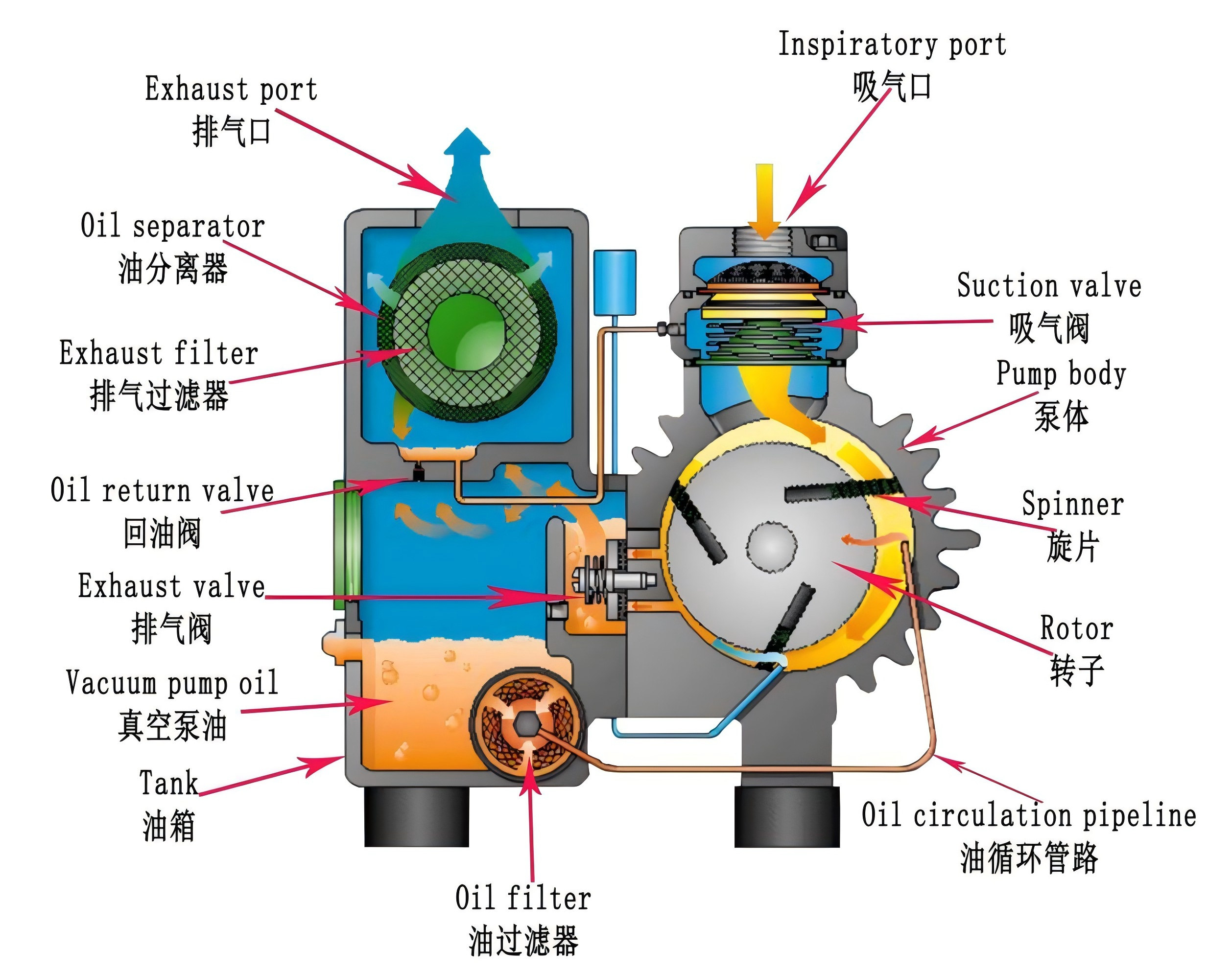 2xz Rotary Vane Vacuum Pump Oil Sealed Mechanical Vacuum Pump Two Stage
