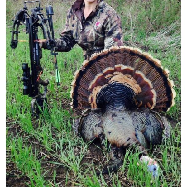 3K Cross Woven Fiber Xbow Crossbow Arrows Bolt 18/20/22 ,.001 прямота