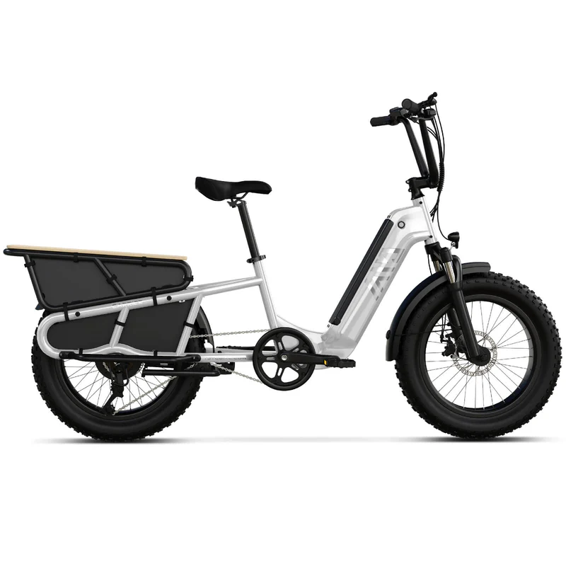 20 Inch Fat Tire Rack for Carrying Goods & Passengers, Powerful Motor, Long Range Long Tail Electric Bike with Cargo