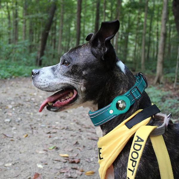 High Quality Airtag Adjustable Nylon Led Dog Pet Necklace Light Training Collar For Pet Dog