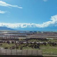 Prefab Galvanized Steel Structure Warehouse with 50-Year Lifespan