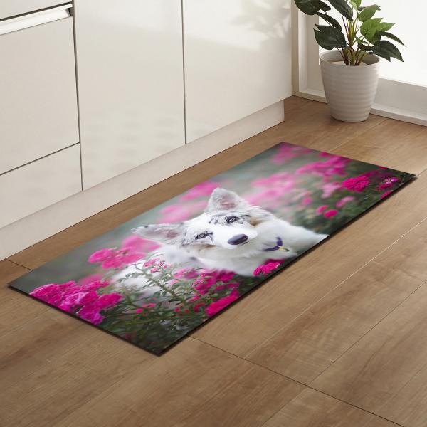 Absorvente bonito animal da água de Mats Home Entry Door Mat do assoalho da cozinha do cão