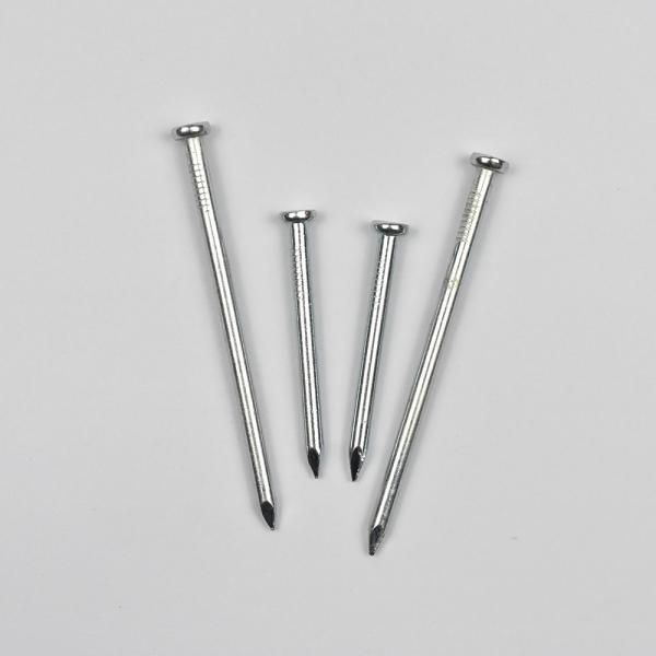 2-1/2'' Galvanized Steel Nail iron nails Concrete Nail