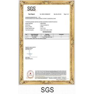 GUANGZHOU BMPAPER CO.,LTD Certifications