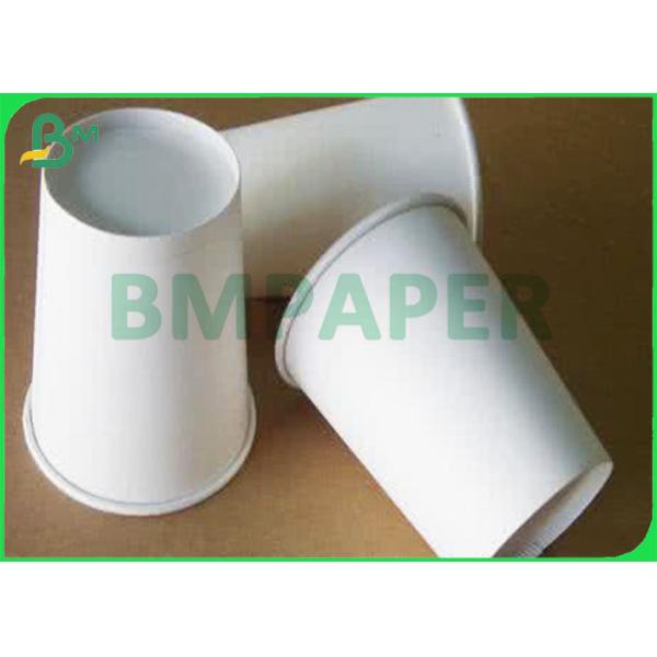 FDA Certified Heat Resistance Waterproof Coated Cup Base Paper