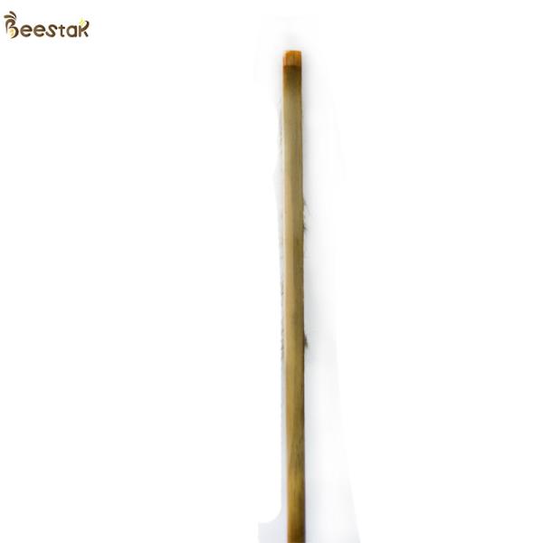 Vente en vente à chaud à deux rangées de poils de cheval, brosse d'abeille, poignée en bois pour apiculteurs