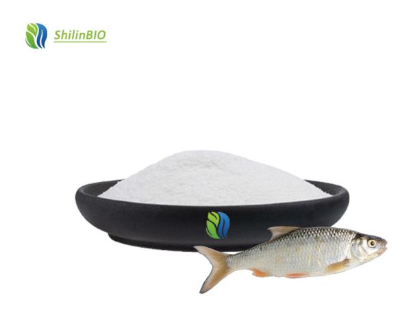 Pure 99% Fish Collagen Powder