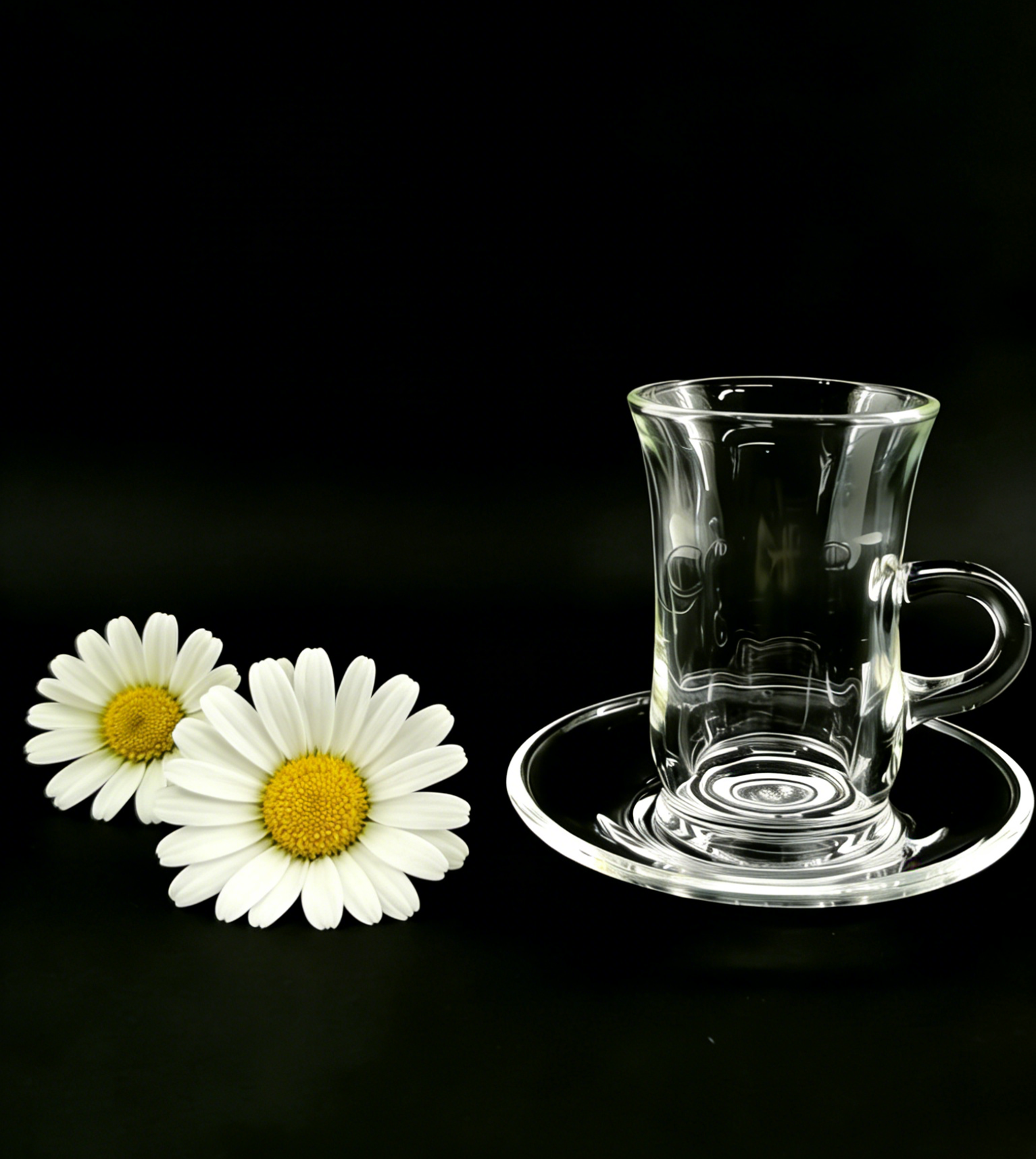 Eco-friendly 12PC Premium Glass Tea Cups with Gift Box Which Foam inside Good Protect During Shipping